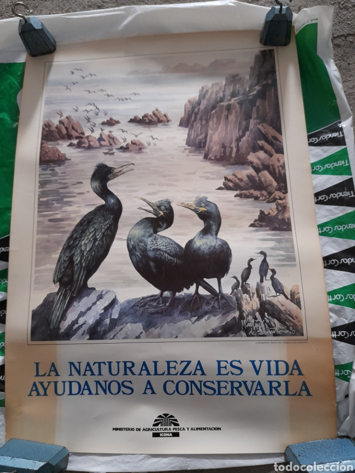 Carteles: Cartel, del ICONA - Foto 1