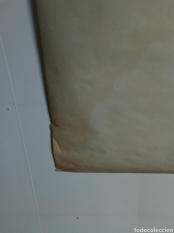 Carteles: EL NAIXEMENT DE VENUS - Foto 14