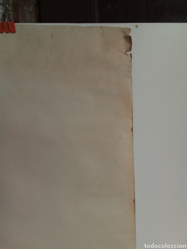 Carteles: EL NAIXEMENT DE VENUS - Foto 15
