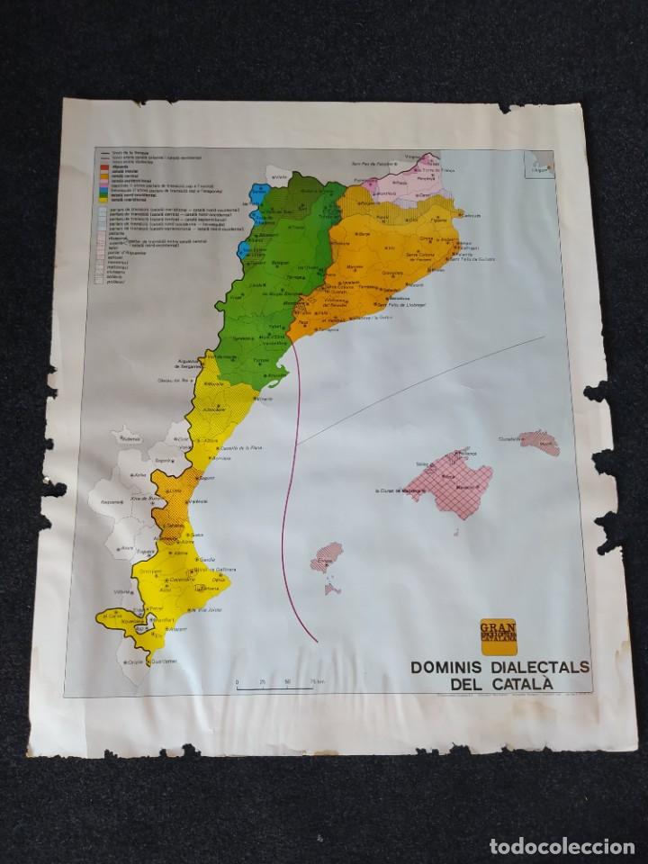 Carteles: P&oacute;ster &rdquo;Dominis dialectals del catal&agrave;&rdquo; (Dominios dialectales del catal&aacute;n) - Foto 1