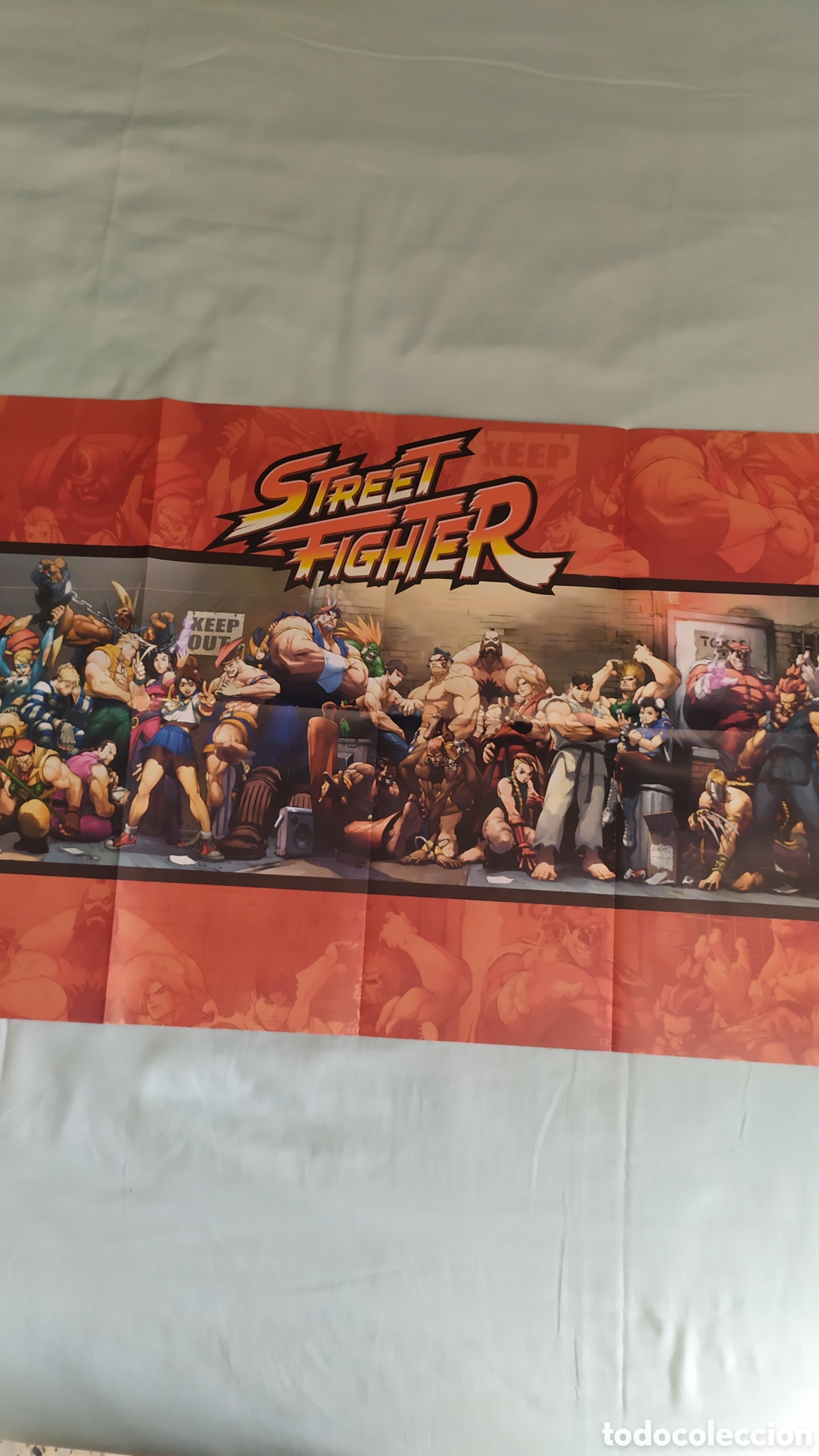 Carteles: POSTER- CARTEL STRRET FIGHTER - Foto 1