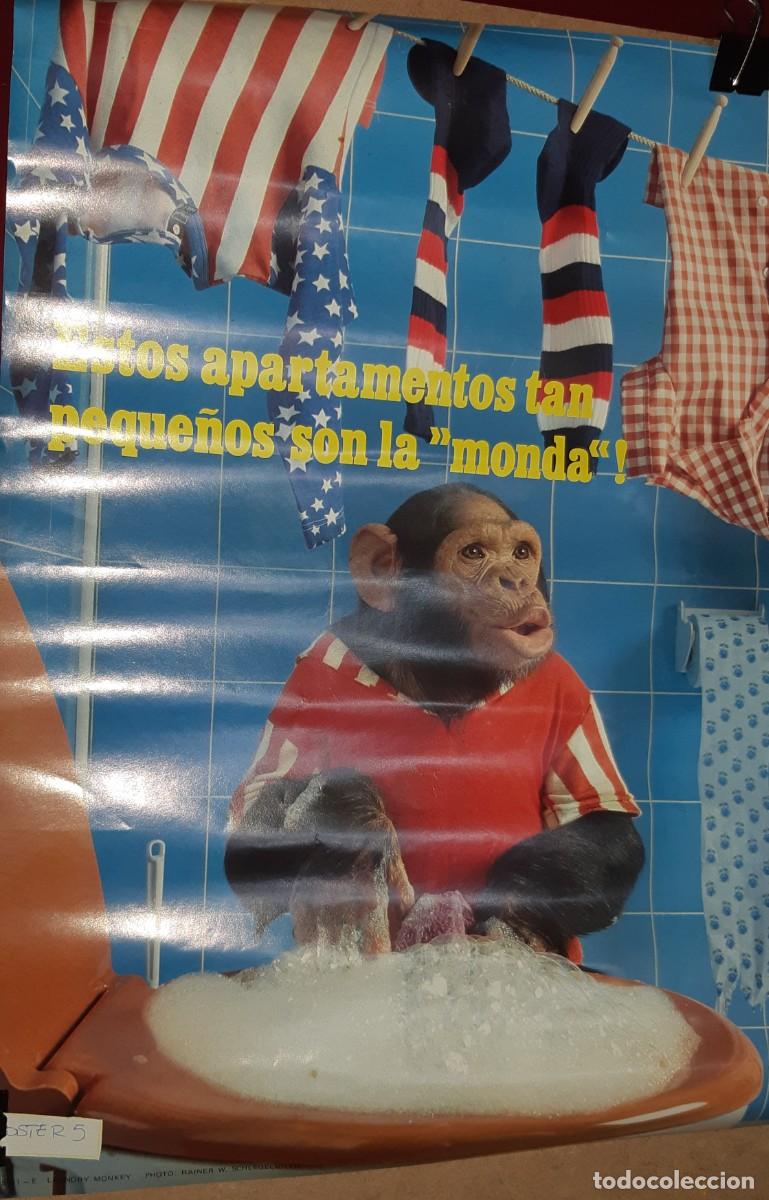 Carteles: POSTER HUMOR CHIMPANC&Eacute; . A&Ntilde;OS 80. - Foto 1