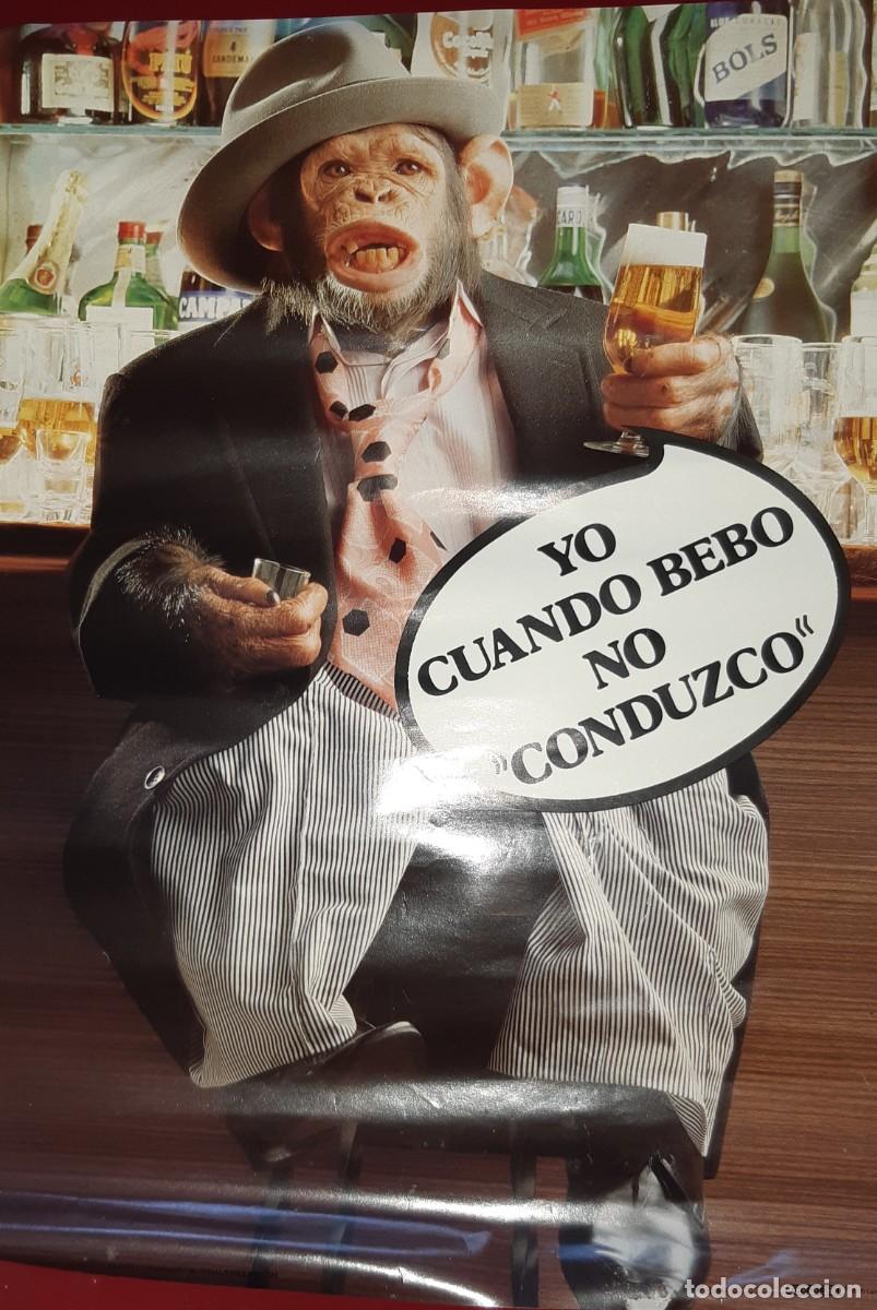 Carteles: POSTER HUMOR CHIMPANC&Eacute; . A&Ntilde;OS 80. - Foto 1