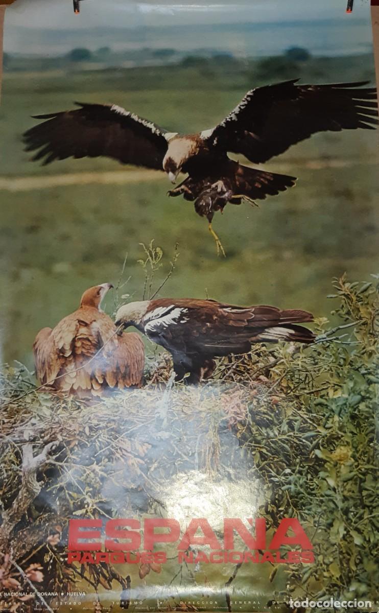 Carteles: POSTER PARQUES NACIONALES DE ESPA&Ntilde;A. - Foto 2