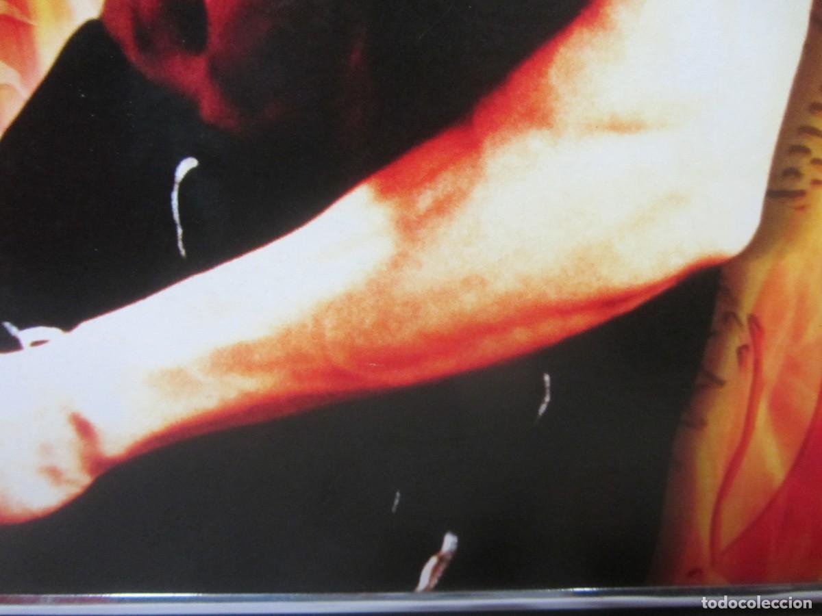 Carteles: CARTEL BRUCE LEE. 41.5CMX29.5CM - Foto 3