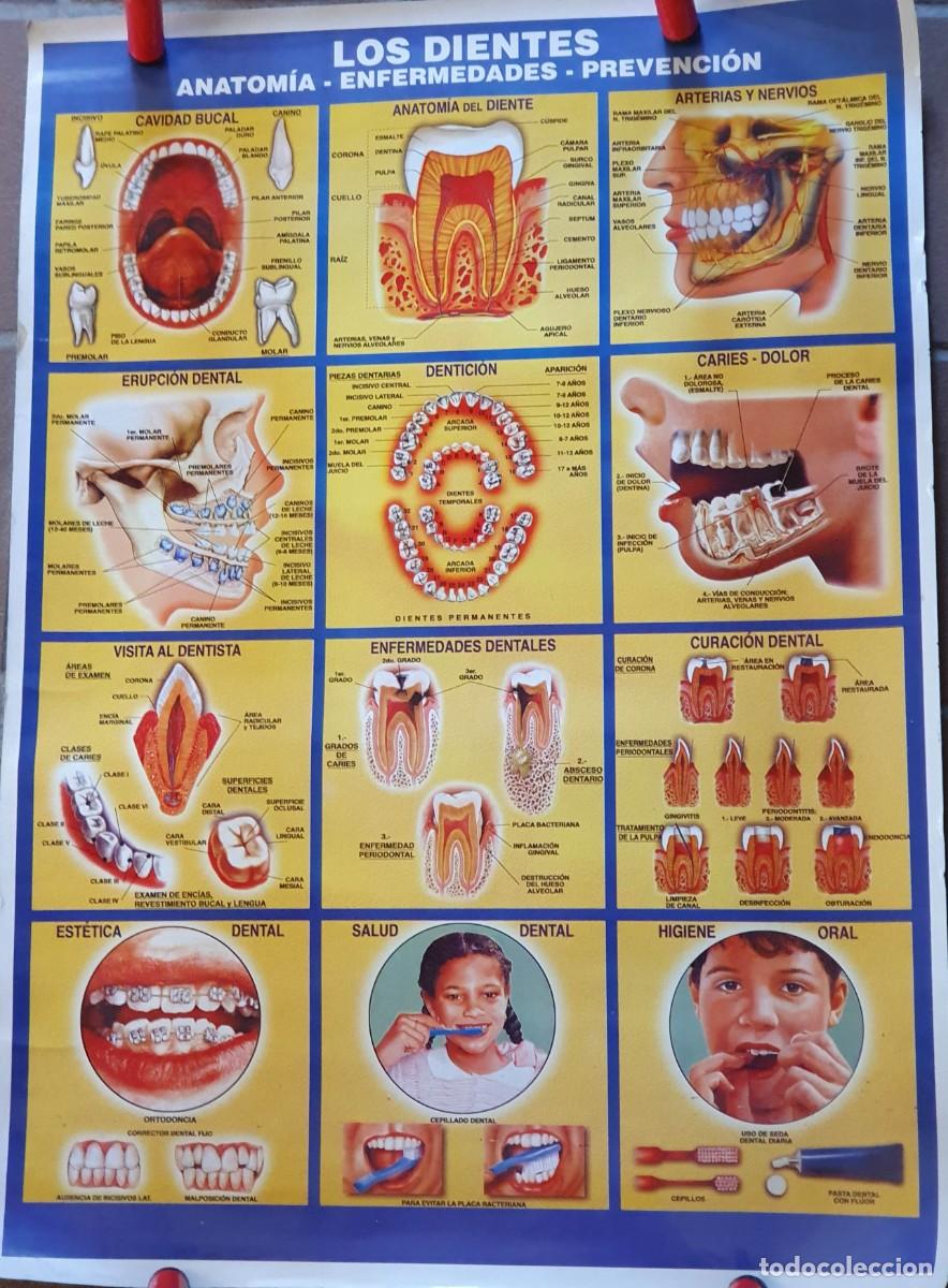 Carteles: Cartel - Foto 1