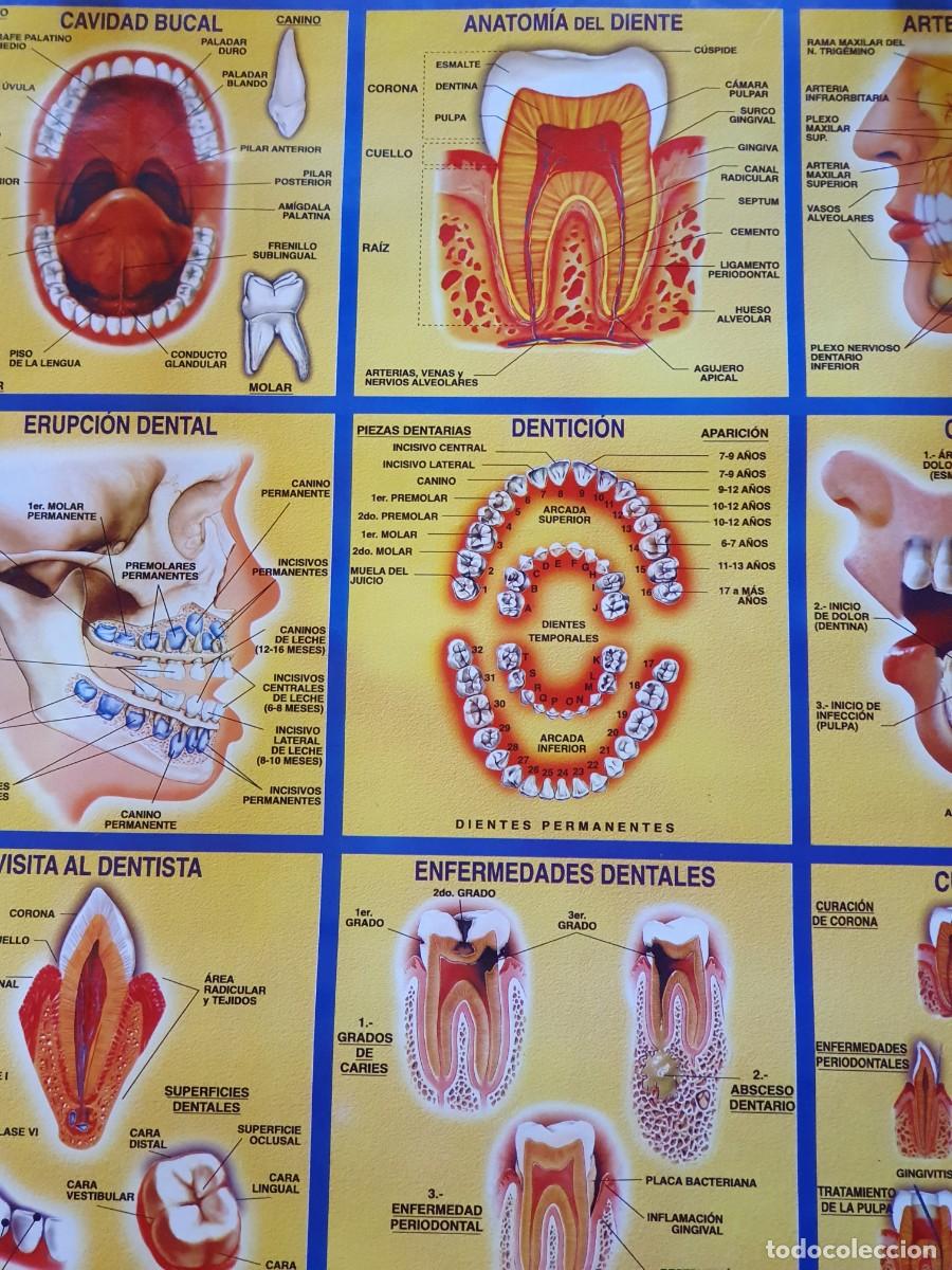 Carteles: Cartel - Foto 2