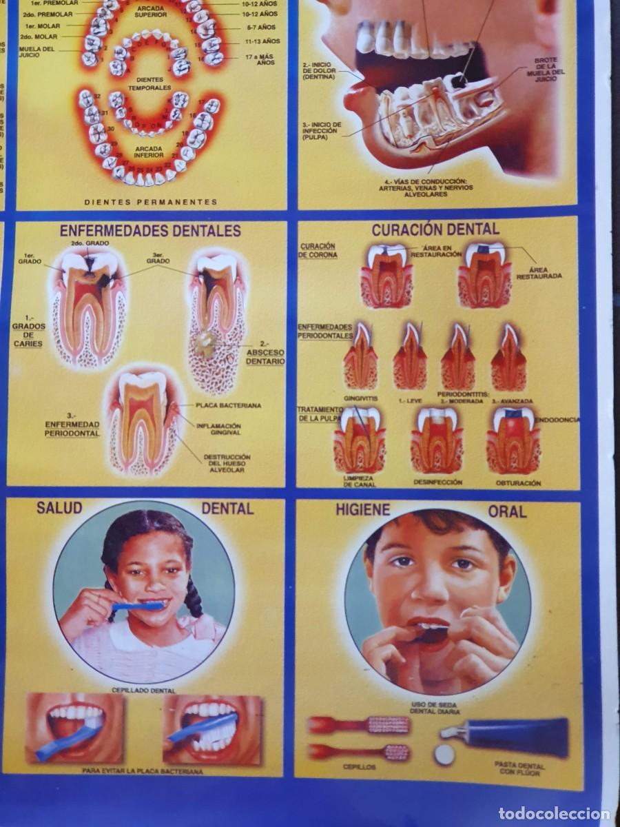Carteles: Cartel - Foto 3