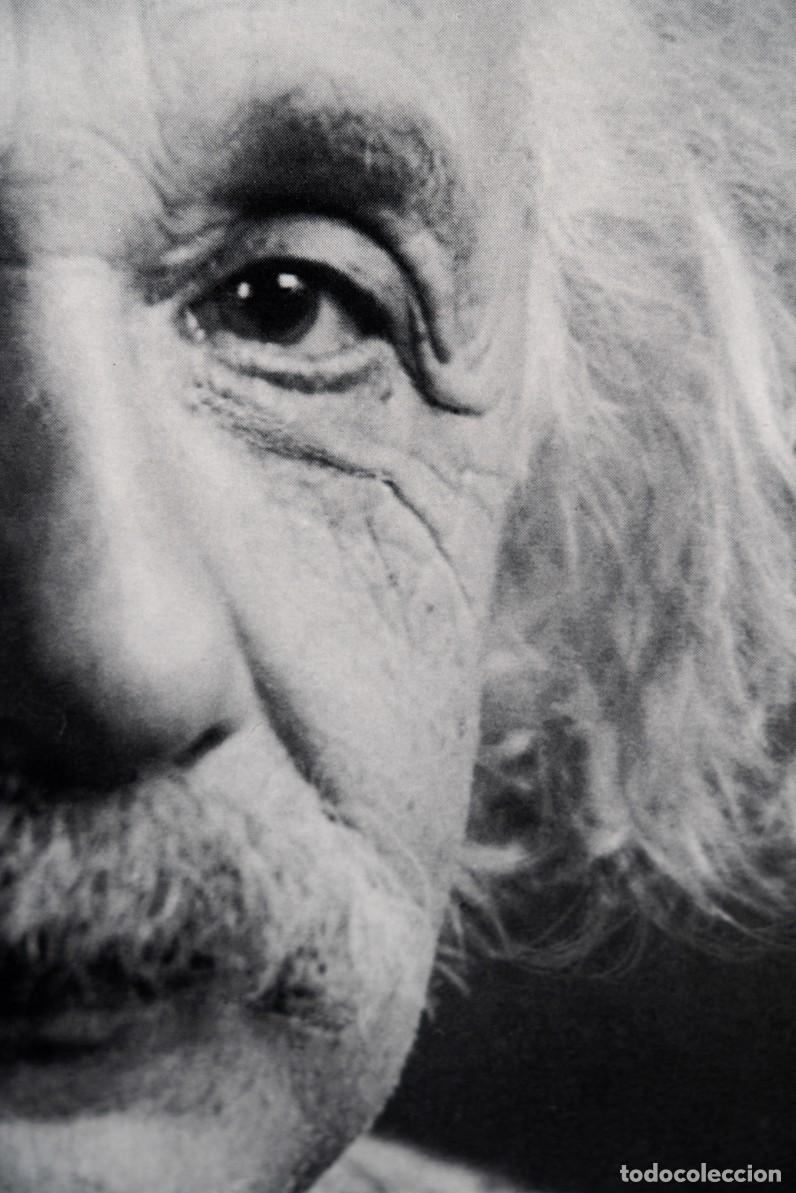 Carteles: POSTER ALBERT EINSTEIN - Foto 2