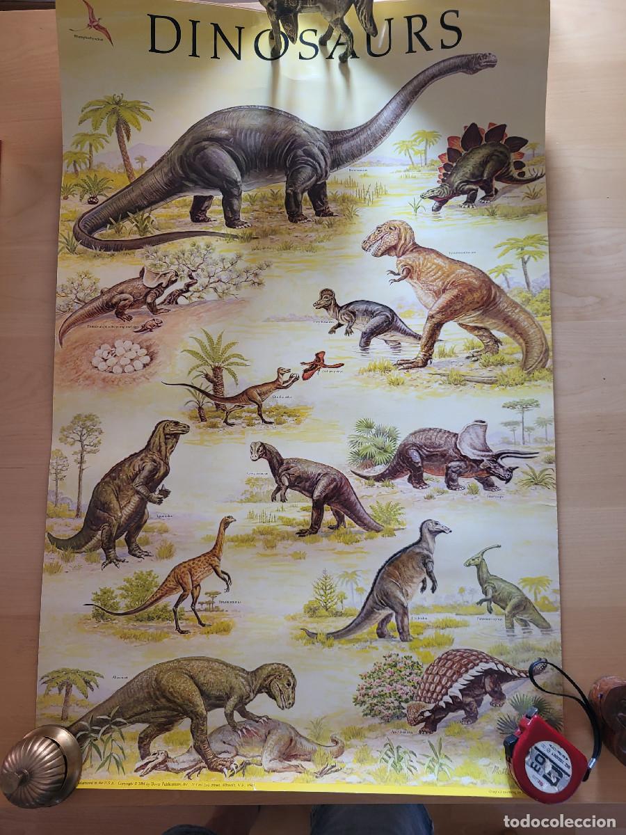 Carteles: P&Oacute;STER CARTULINA DINOSAURS - Foto 1