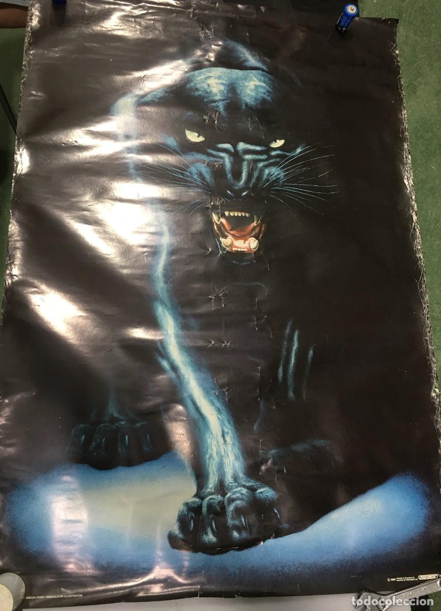 Carteles: POSTER PANTERA NEGRA - Foto 2