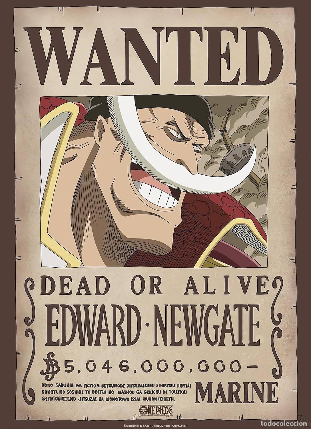 poster wanted edward newgate - one piece (poste - Compra venta en ...