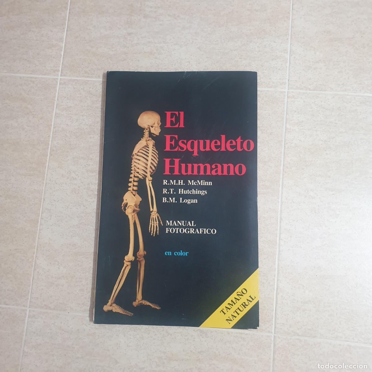 Carteles: DESPLEGABLE DE ANATOMIA - Foto 1