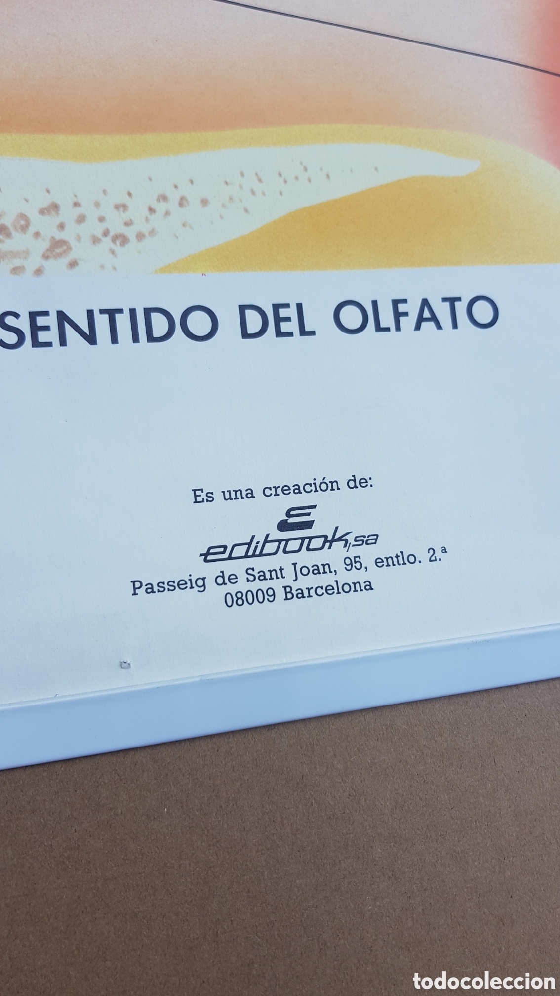 Carteles: Mural educativo Organos de los Sentidos - Foto 4