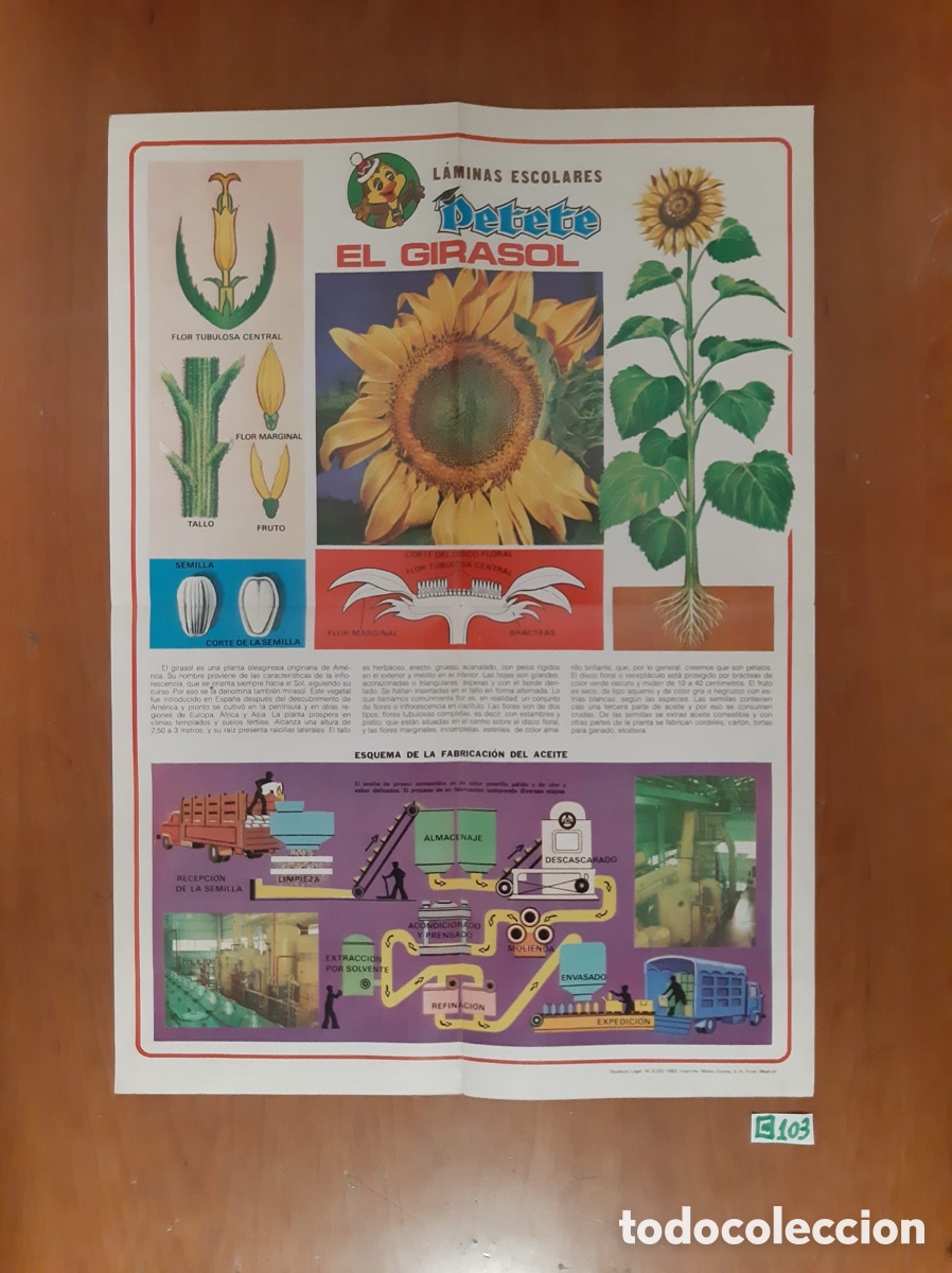 Carteles: Lote de p&oacute;ster de Petete antiguos - Foto 3