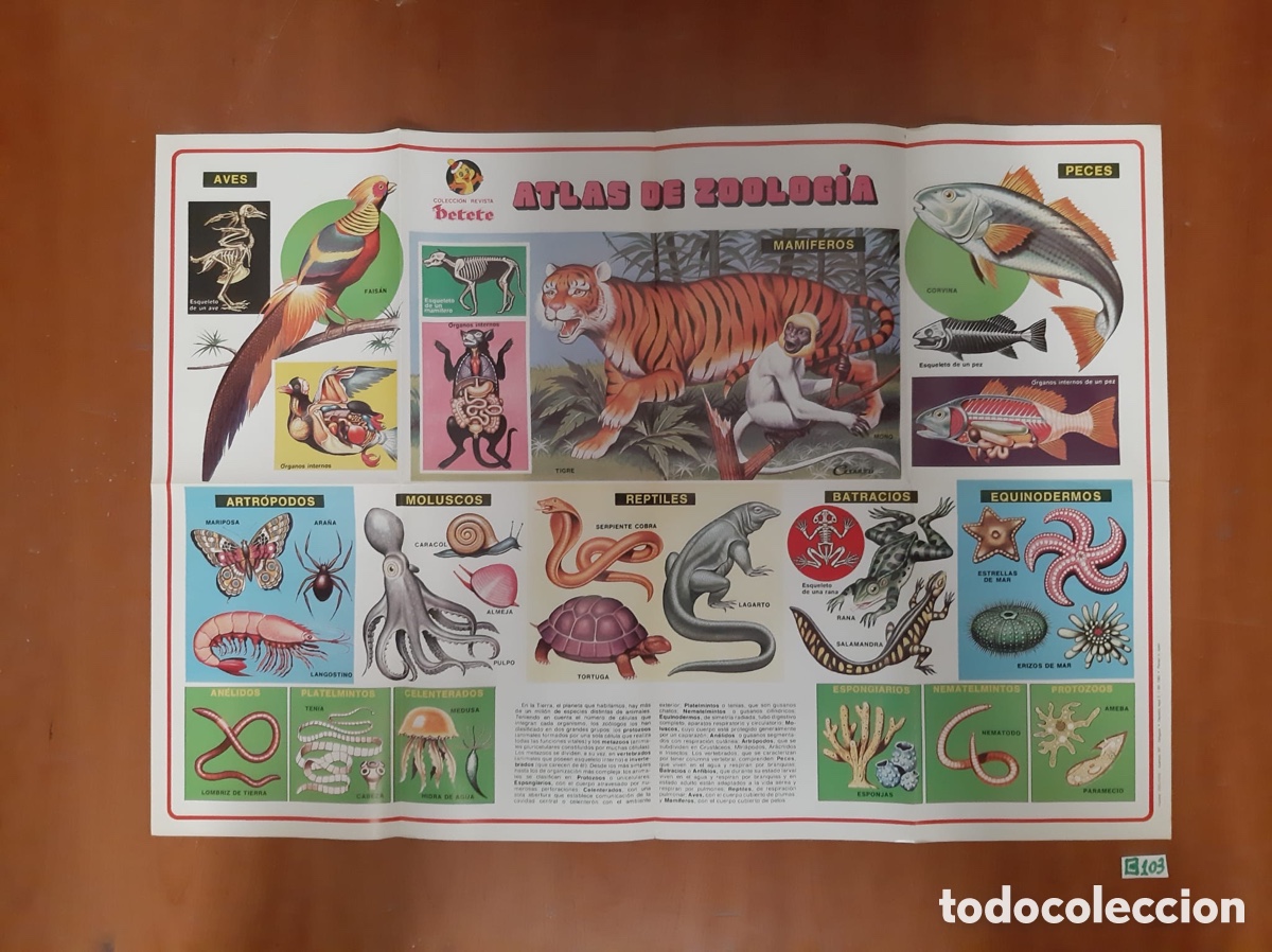 Carteles: Lote de p&oacute;ster de Petete antiguos - Foto 5