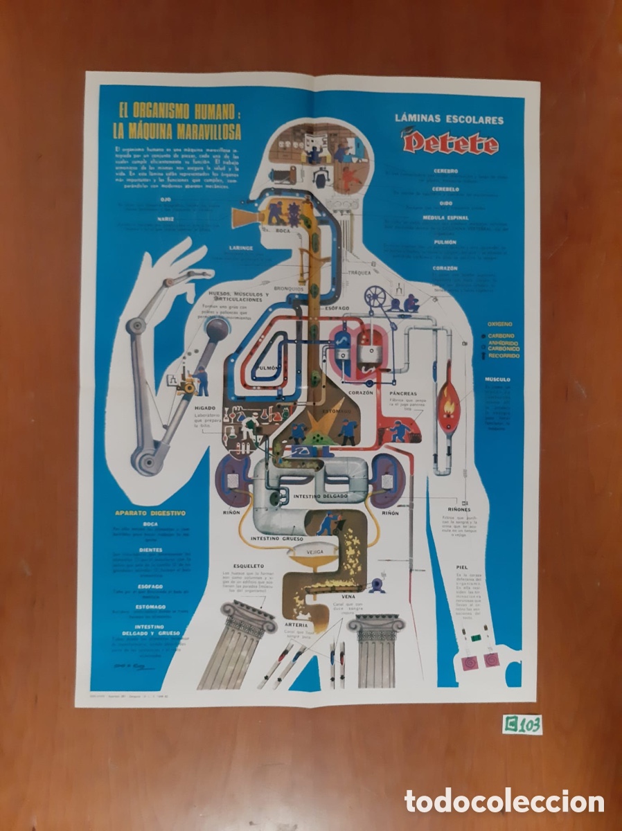 Carteles: Lote de p&oacute;ster de Petete antiguos - Foto 6