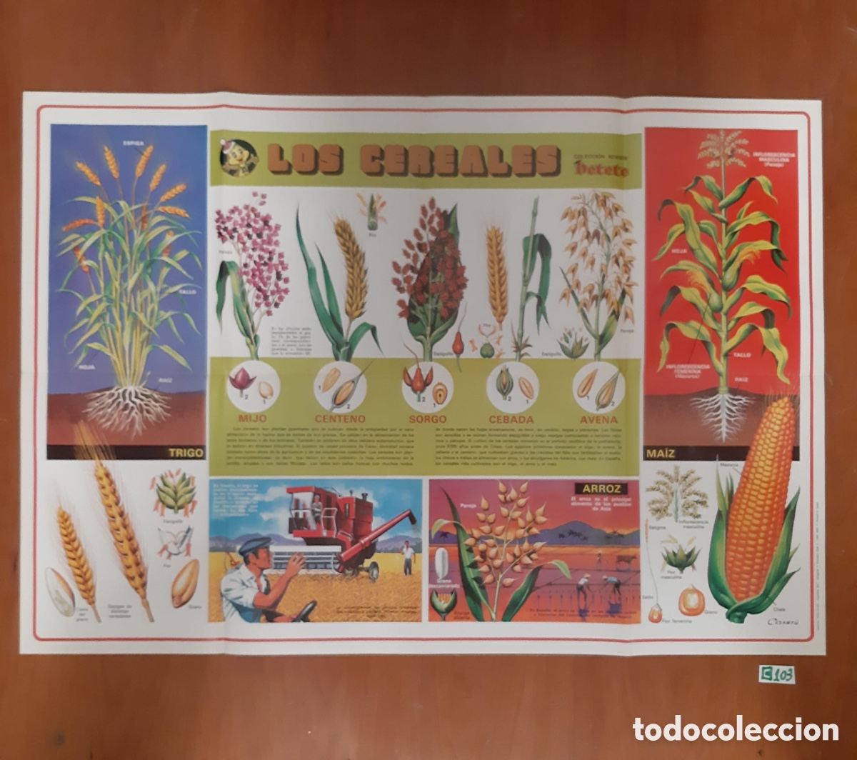 Carteles: Lote de p&oacute;ster de Petete antiguos - Foto 7