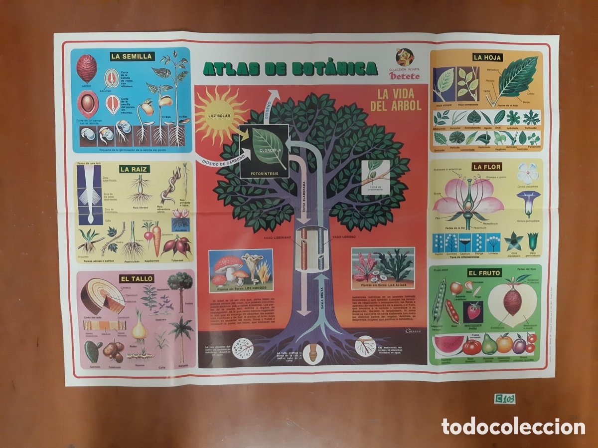 Carteles: Lote de p&oacute;ster de Petete antiguos - Foto 9