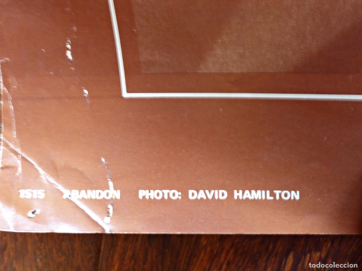 Carteles: CARTEL DAVID HAMILTON. A&Ntilde;O 1975 - Foto 4
