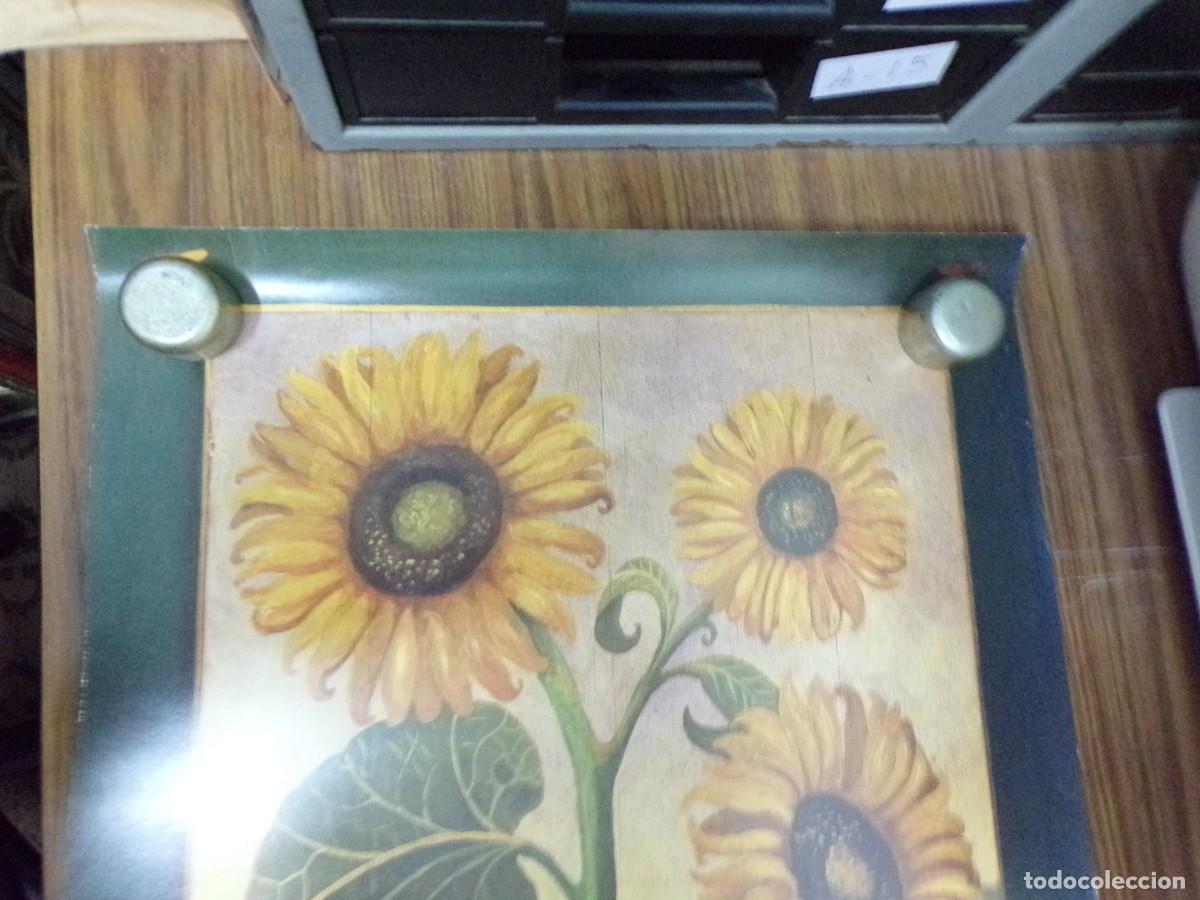 Carteles: ESTAMOS LIQUIDANDO. cartel poster sunflower seeds - Foto 2