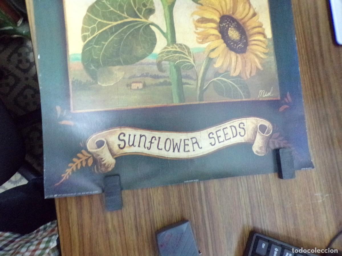 Carteles: ESTAMOS LIQUIDANDO. cartel poster sunflower seeds - Foto 3