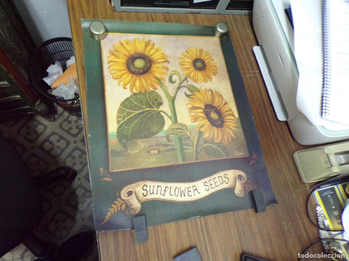 Carteles: ESTAMOS LIQUIDANDO. cartel poster sunflower seeds - Foto 1