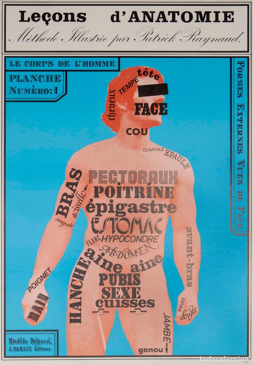 Carteles: LECONS D&acute; ANATOMIE. 64,2 x 44 cm. - Foto 1