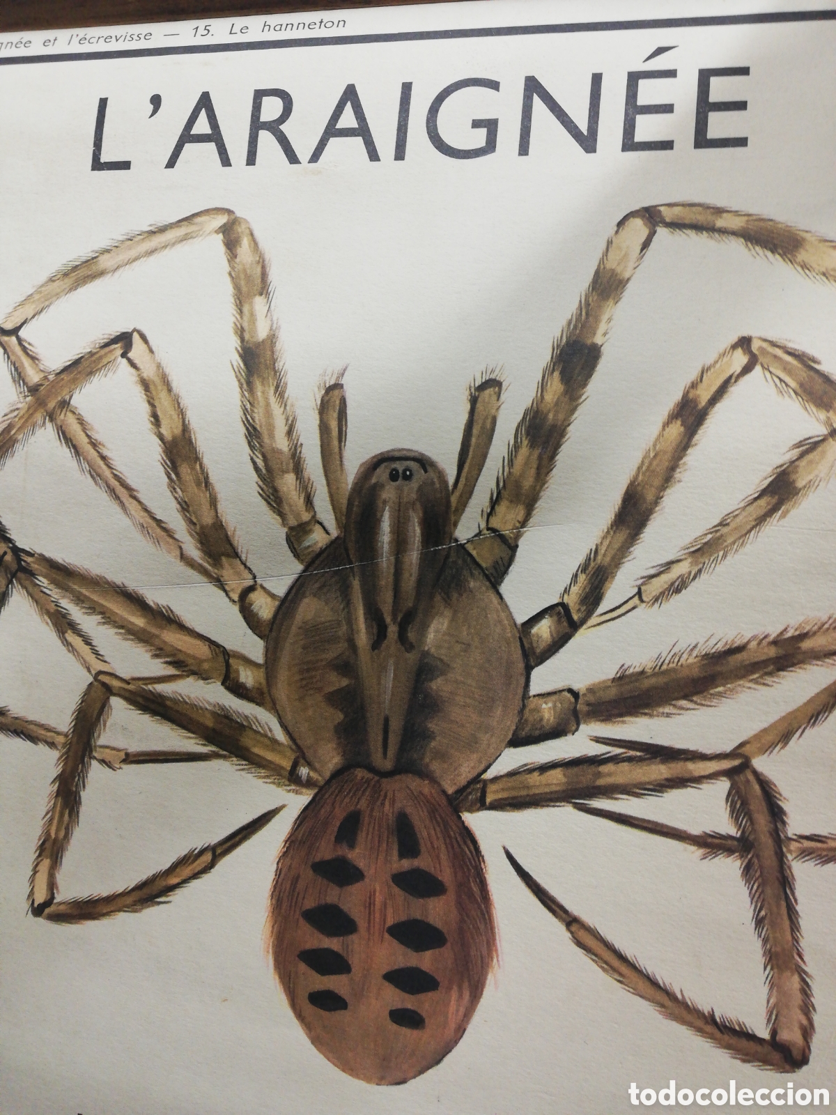 Carteles: Cartel Ara&ntilde;as. En Franc&eacute;s. - Foto 9