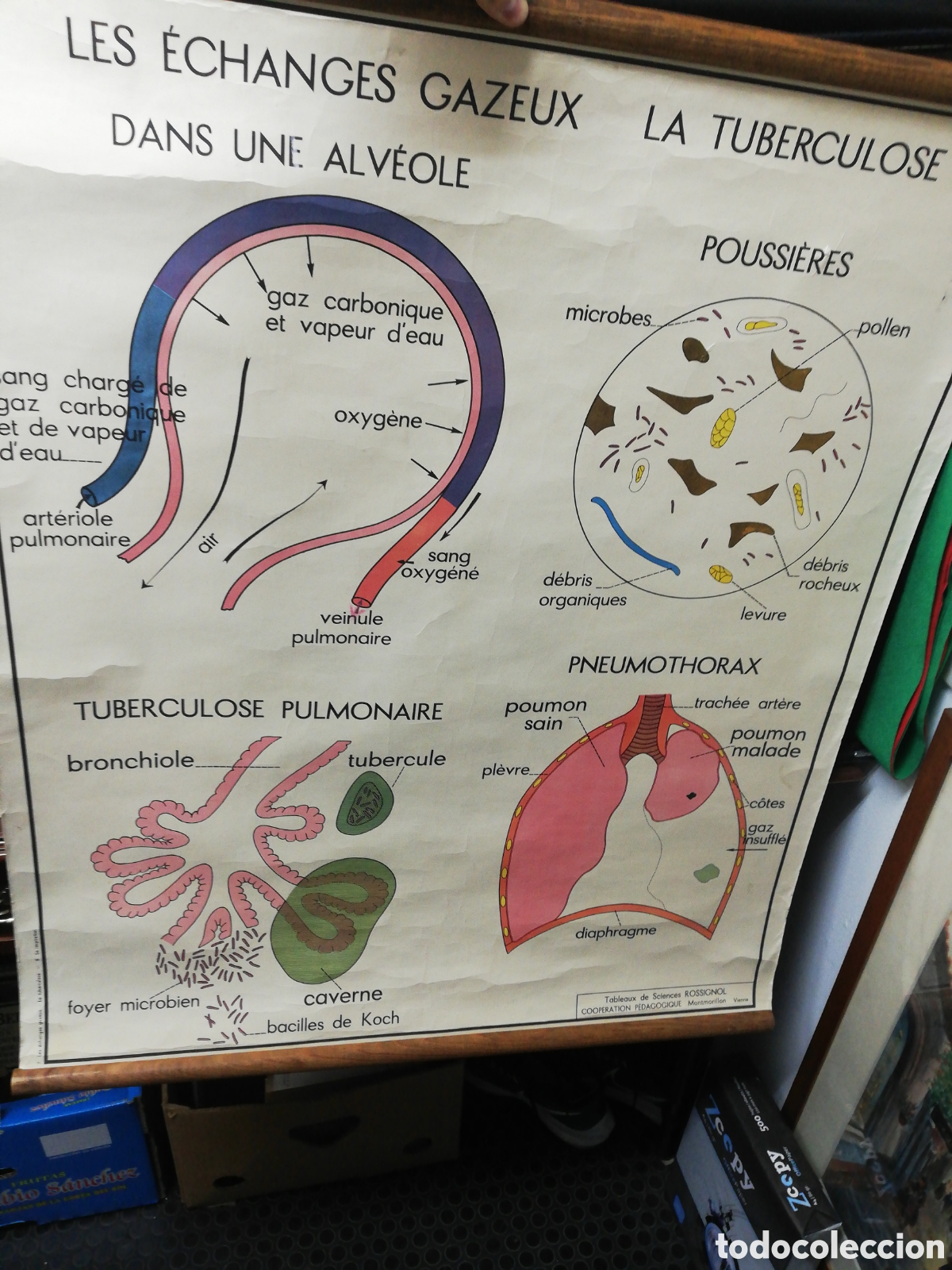 Carteles: Cartel Pulmones. En Franc&eacute;s. - Foto 3