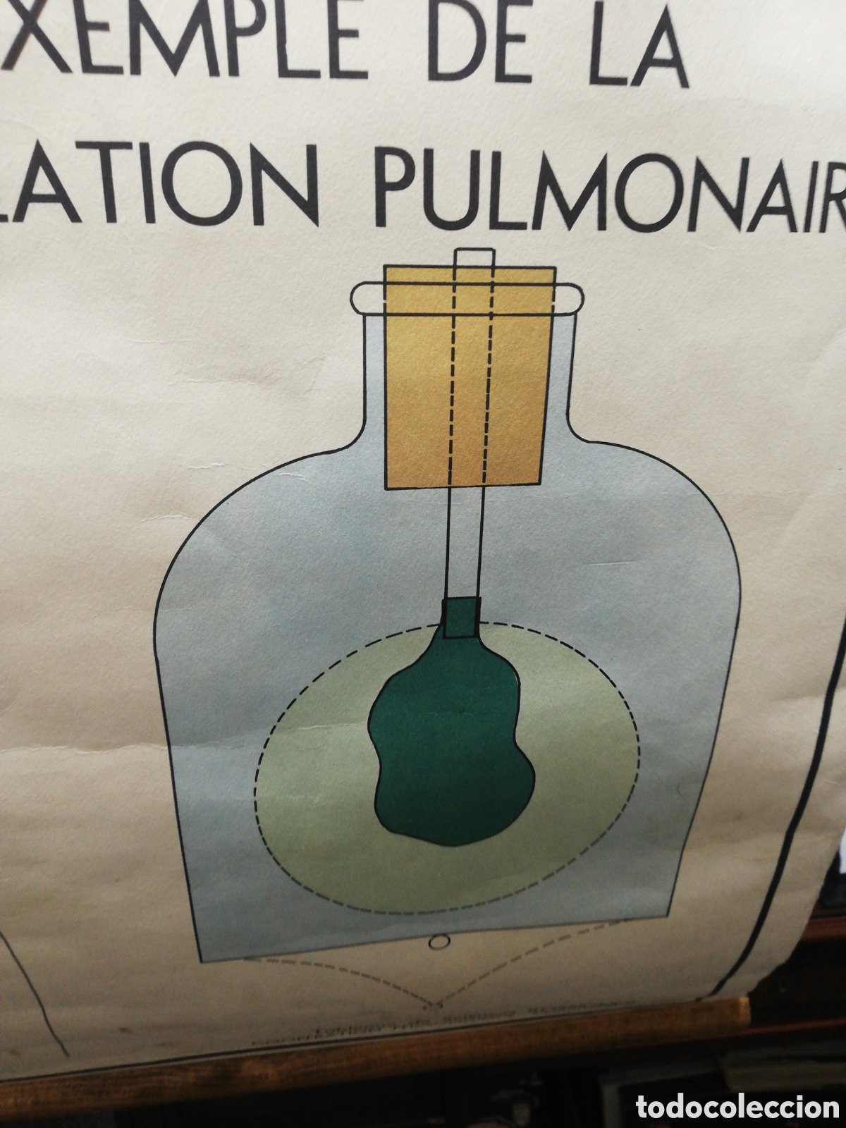 Carteles: Cartel Pulmones. En Franc&eacute;s. - Foto 7