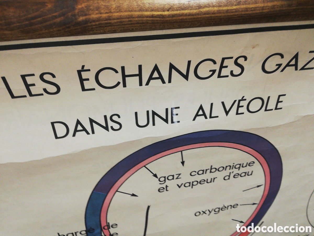 Carteles: Cartel Pulmones. En Franc&eacute;s. - Foto 10