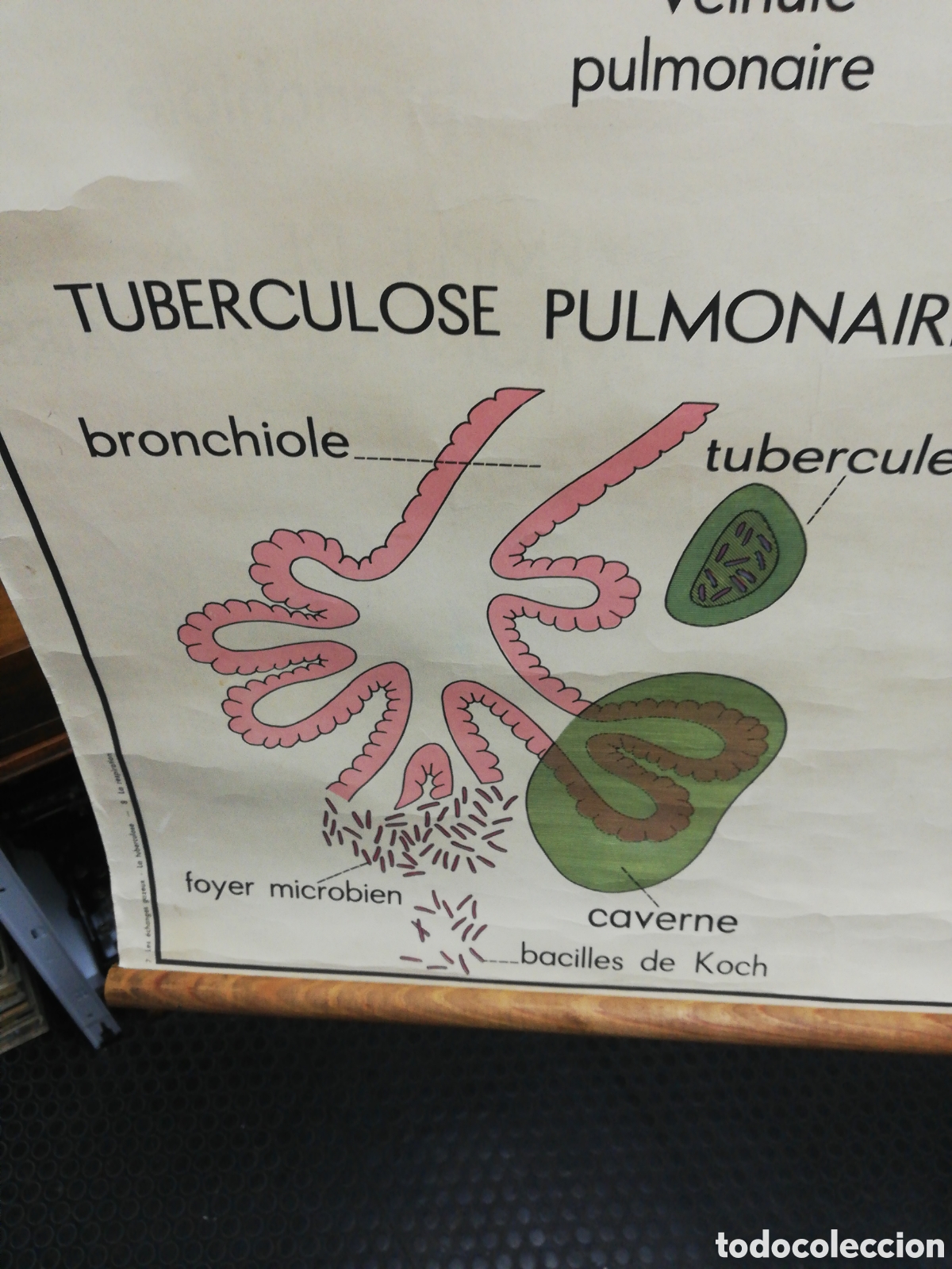 Carteles: Cartel Pulmones. En Franc&eacute;s. - Foto 12