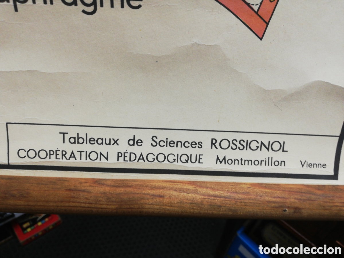 Carteles: Cartel Pulmones. En Franc&eacute;s. - Foto 15