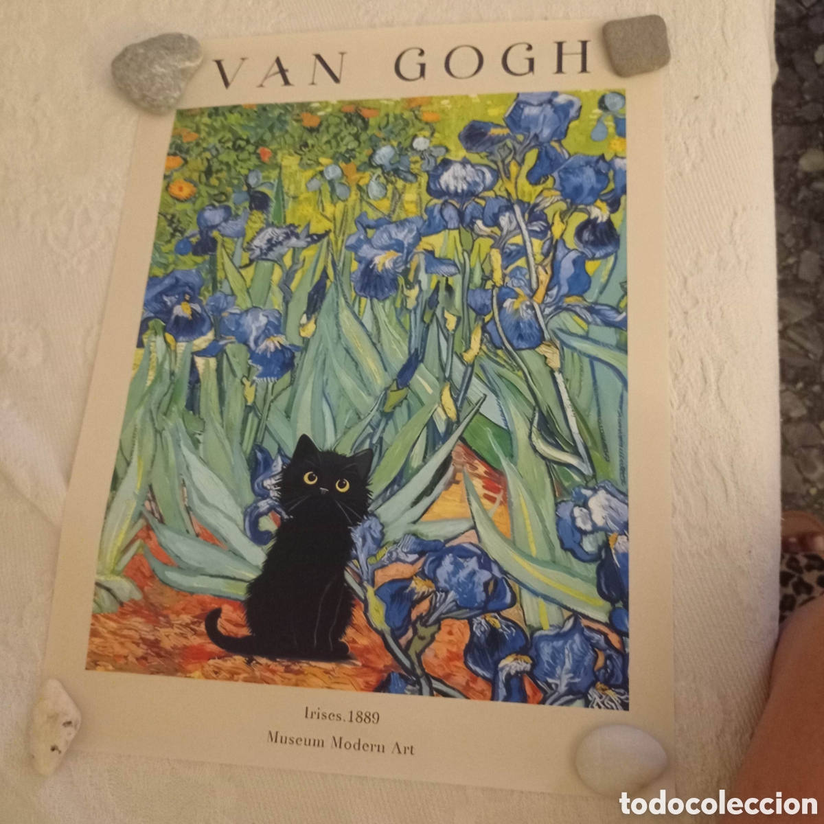 Carteles: P&oacute;ster tema gatos 2. 30x40cm - Foto 1