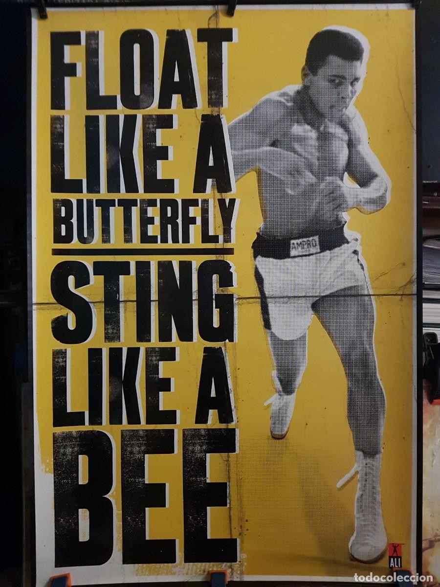 Carteles: POSTER DE MUHAMMAD ALI 60CMX91CM - Foto 1