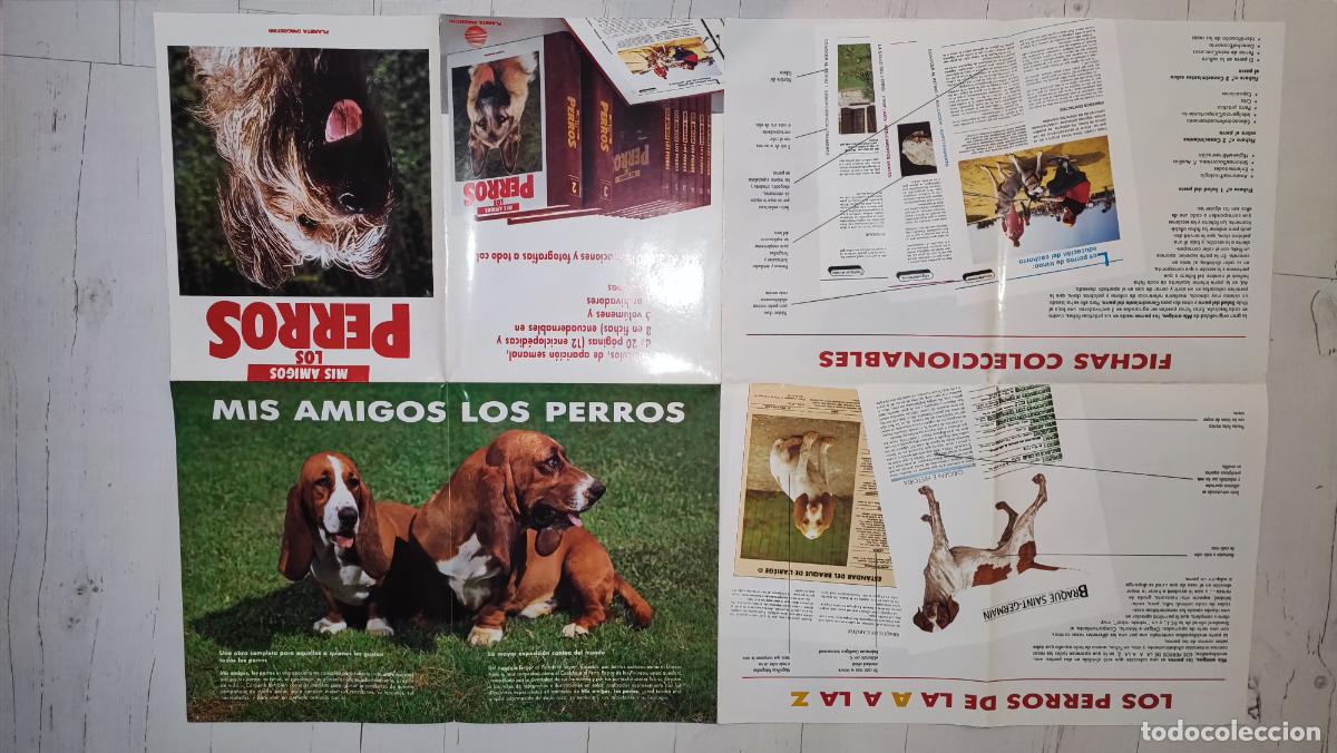Carteles: POSTER MIS AMIGOS LOS PERROS - 88 X 57 CM. - Foto 2