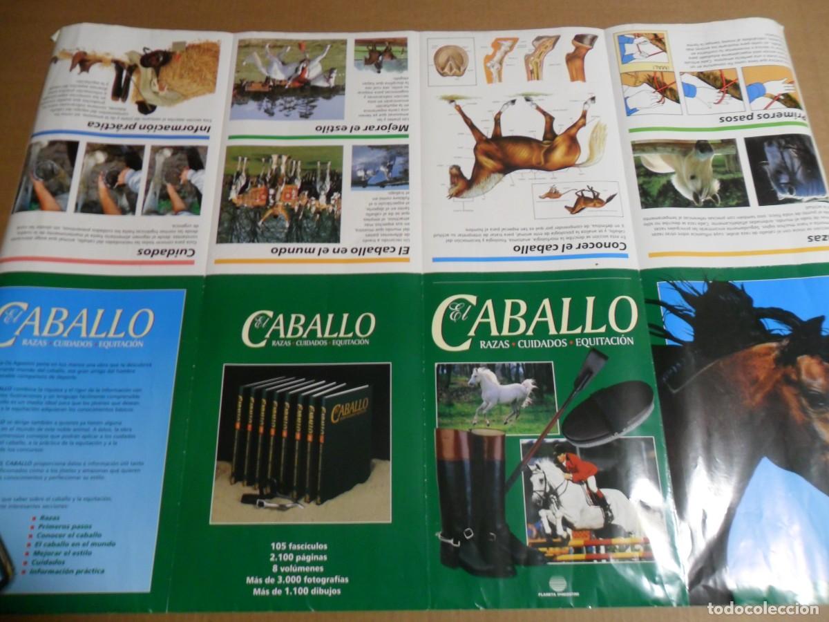Carteles: CARTEL GRAN TAMA&Ntilde;O CABALLOS - Foto 2