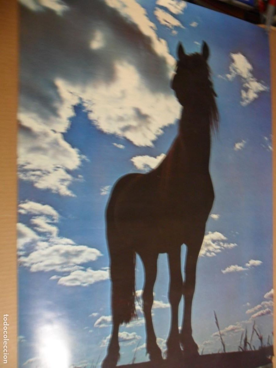 Carteles: CARTEL DE UN CABALLO - Foto 1
