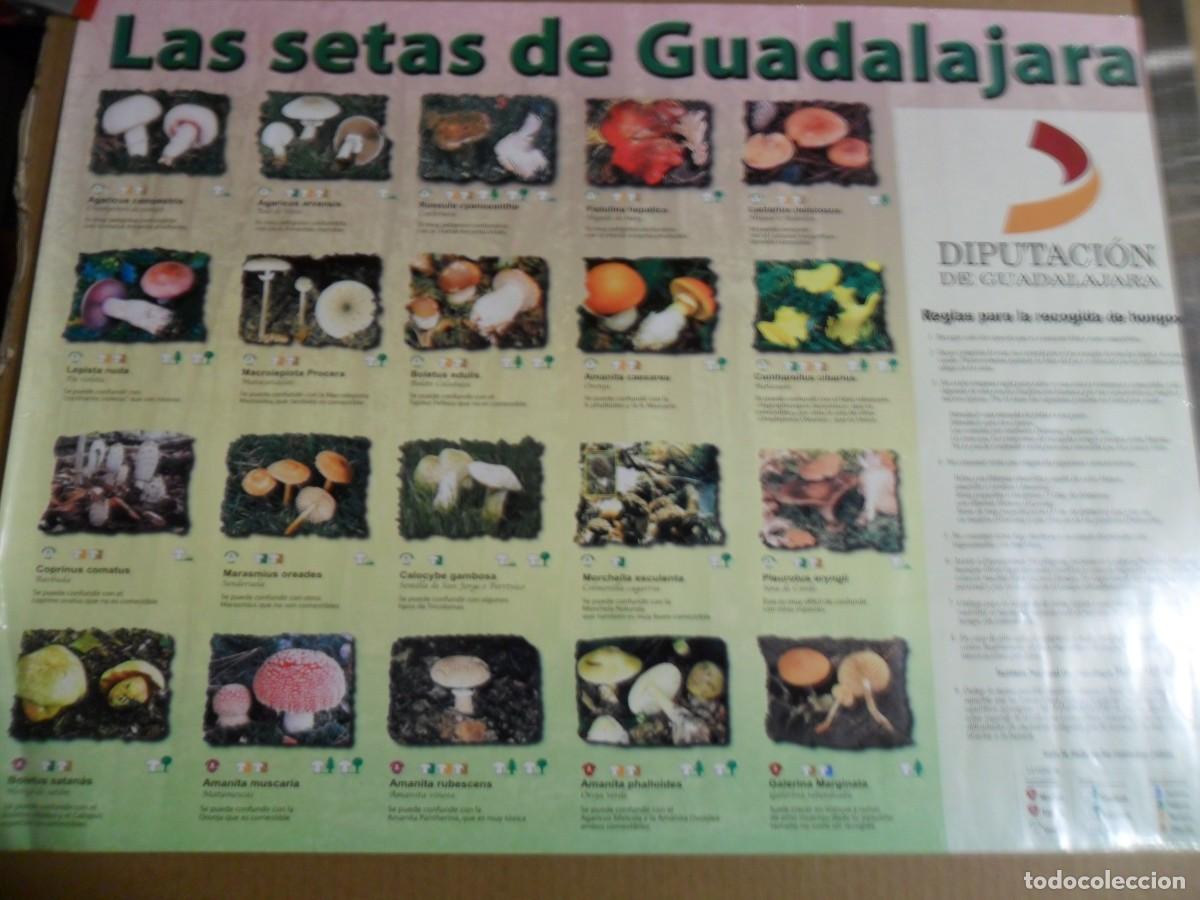 Carteles: LAS SETAS DE GUADALAJARA - Foto 1
