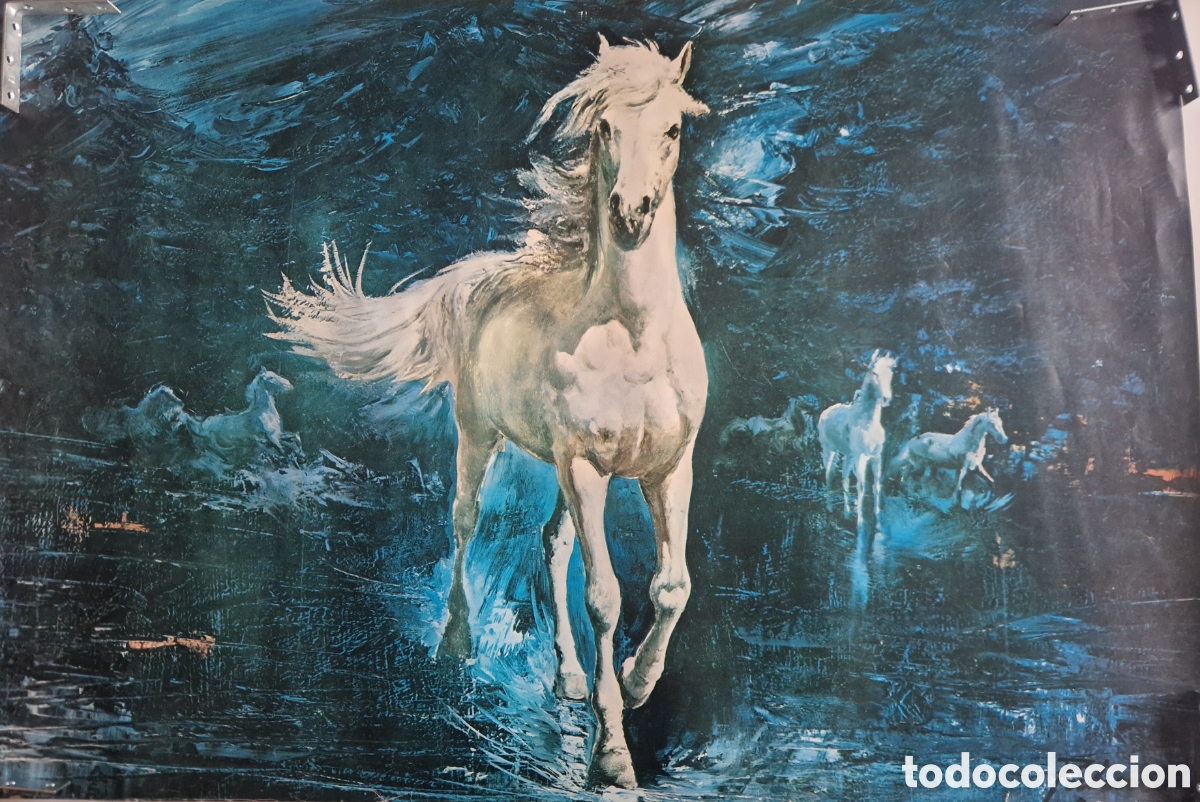 Carteles: Poster caballos, a&ntilde;os 1970 - Foto 1