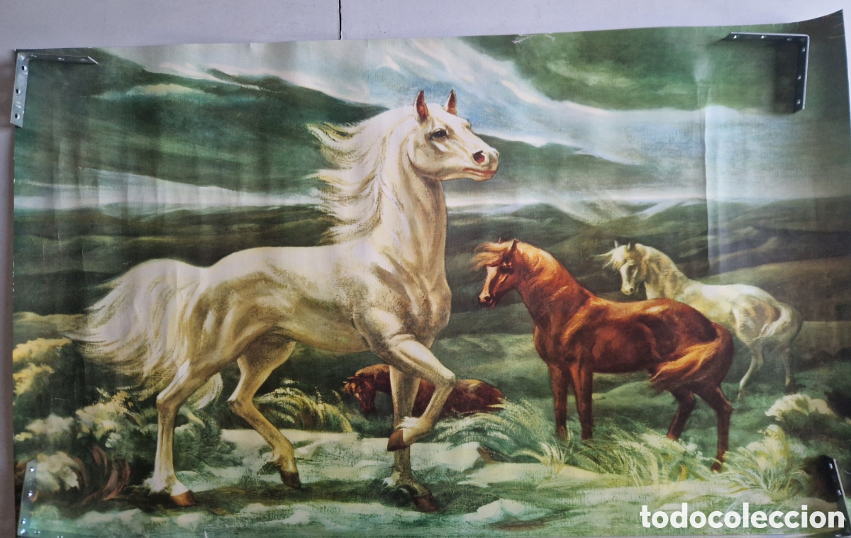 Carteles: Poster caballos , a&ntilde;os 1970 - Foto 1
