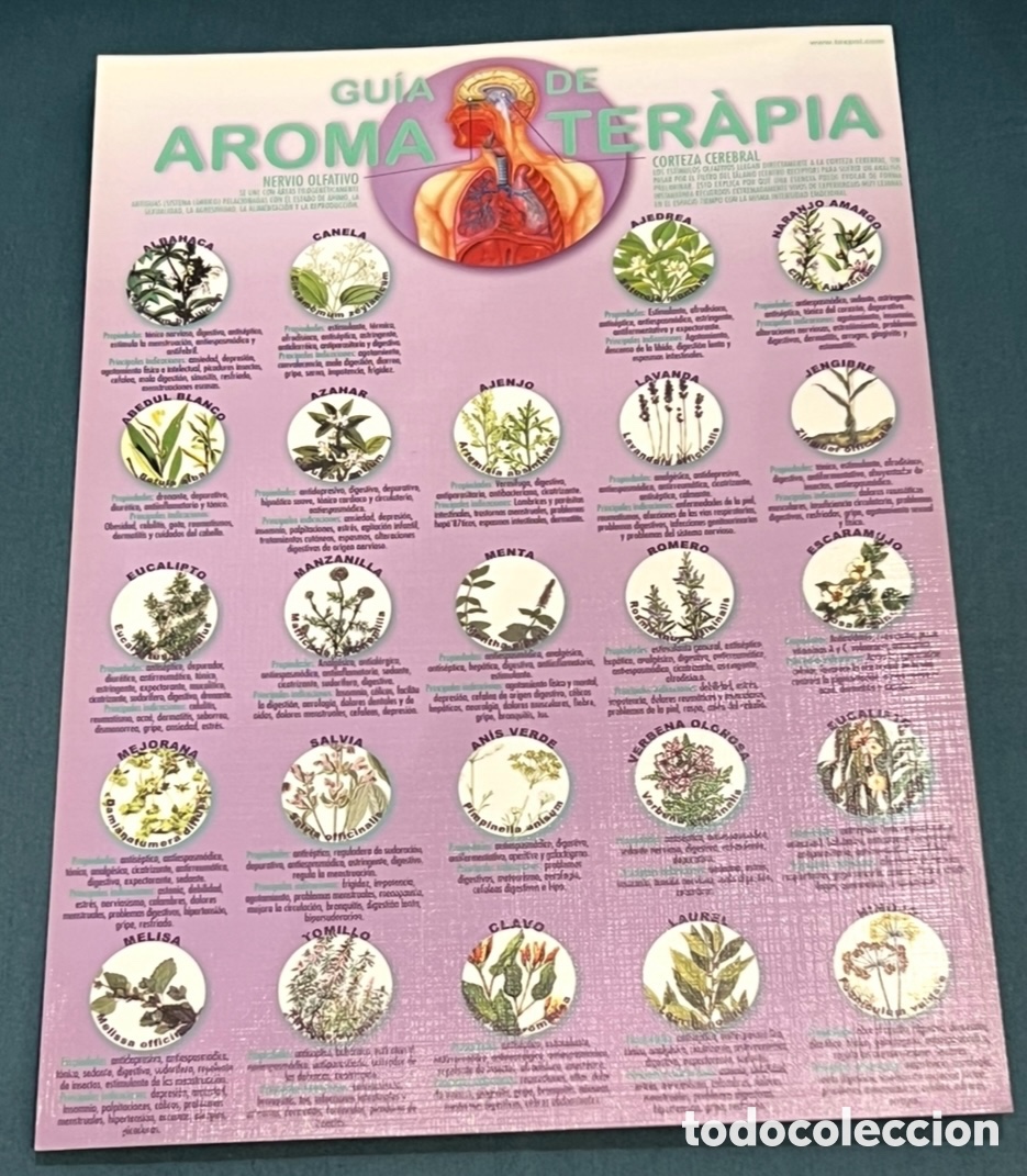Carteles: Cartel. Gu&iacute;a de AROMATERAPIA. Protector Texpol. - Foto 1