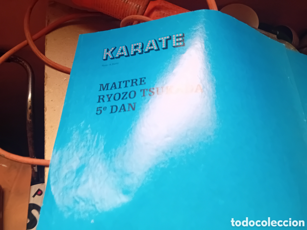 Carteles: Poster artes marciales karate - Foto 2