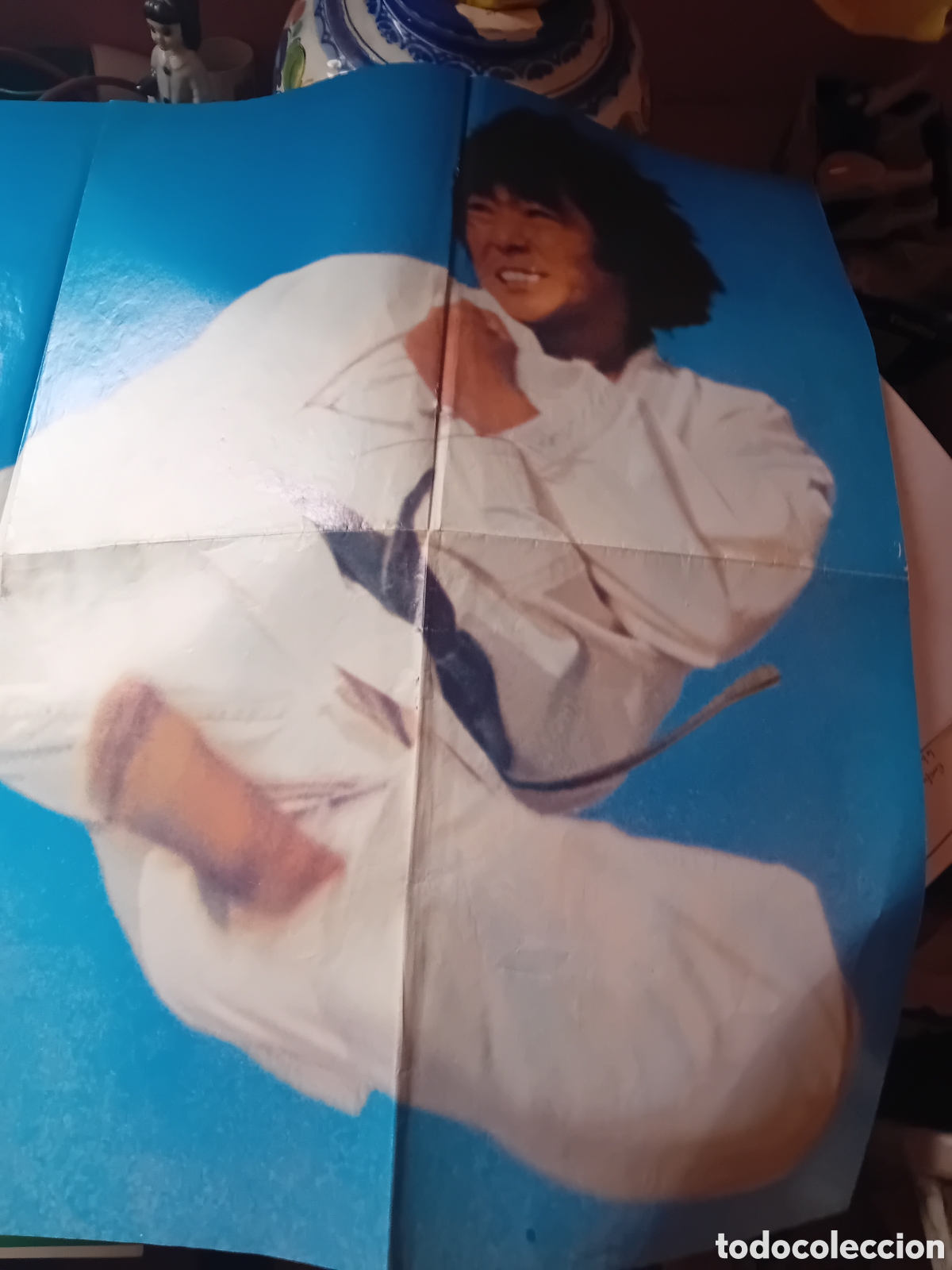 Carteles: Poster artes marciales karate - Foto 3
