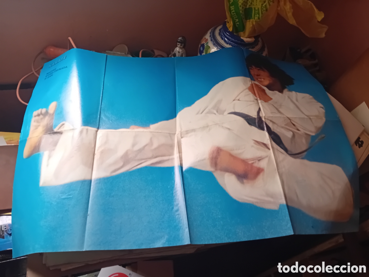Carteles: Poster artes marciales karate - Foto 1