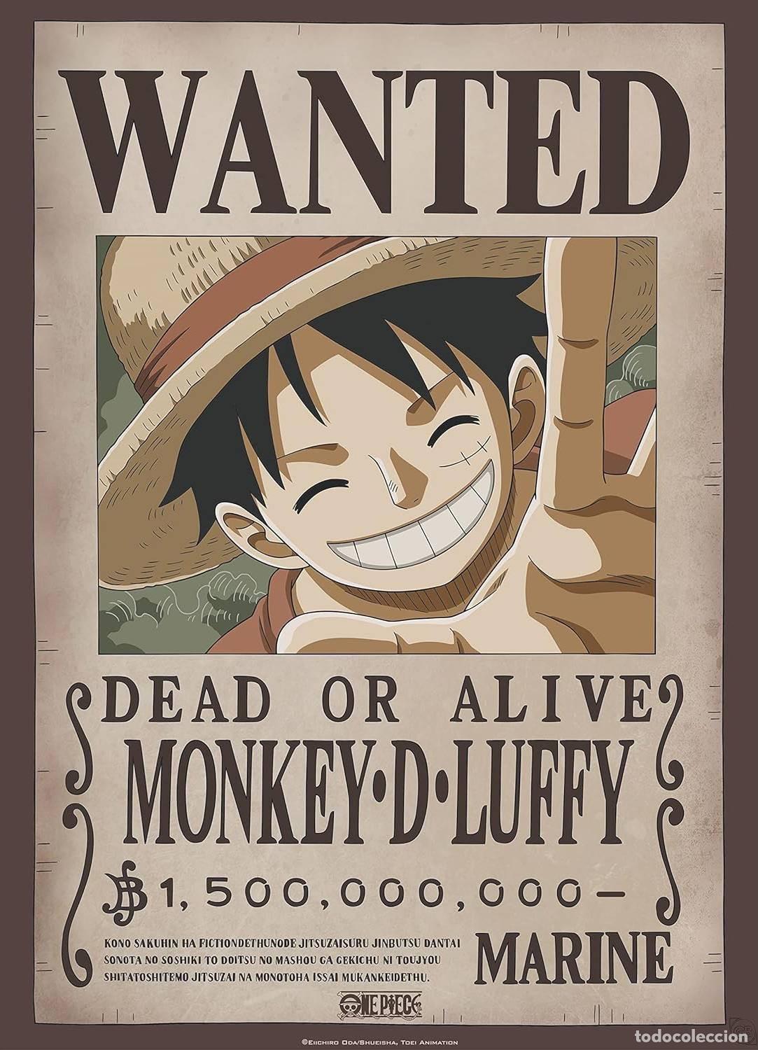 Carteles: Poster Wanted Luffy - One Piece (POSTER 52x38)