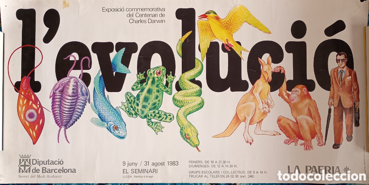 Carteles: Exposici&oacute; Commemorativa Centenari Charles Darwin. Lleida. 1983. 65x32,5 cm