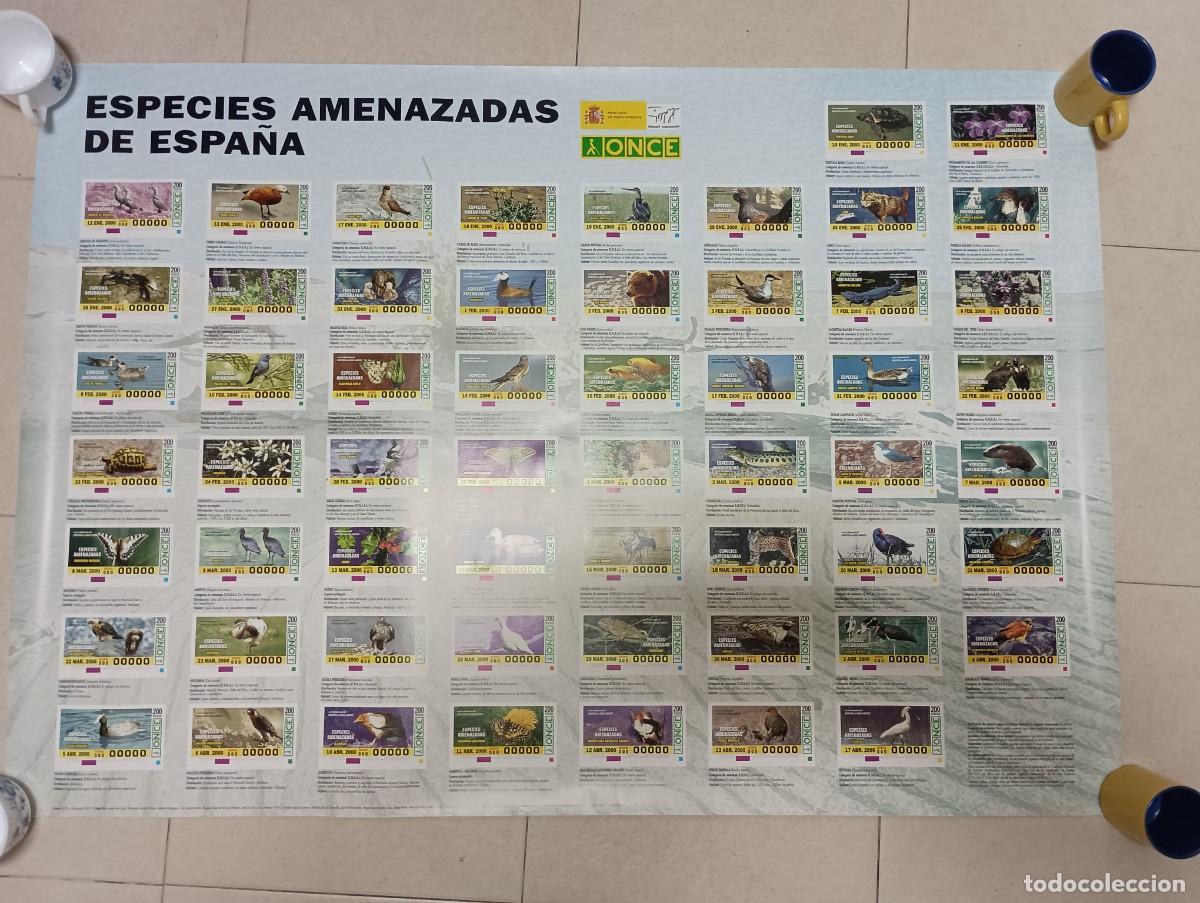 Carteles: Cartel especies amenazadas, 100 x 70 cm.