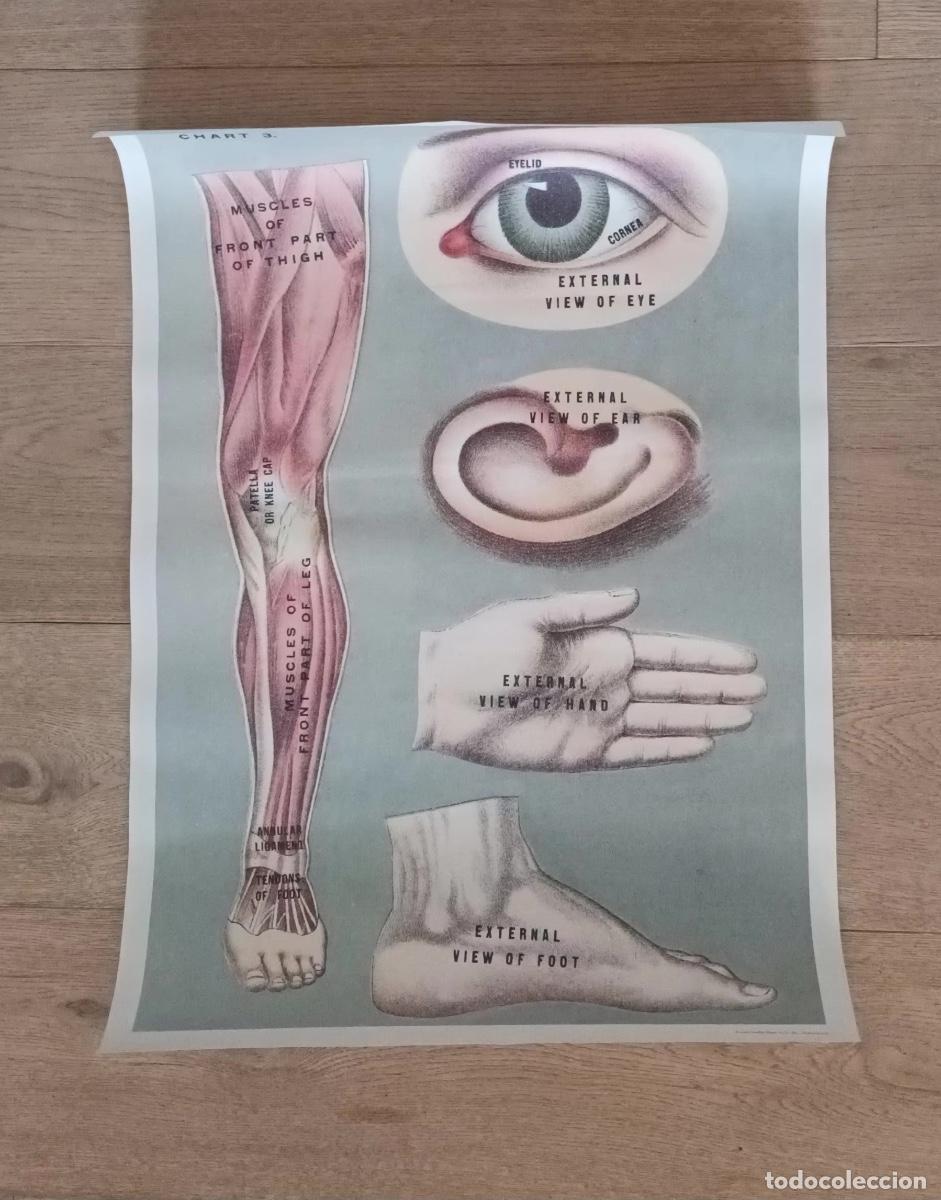 Carteles: Caf&eacute; de especialidad. Colecci&oacute;n de 8 P&oacute;sters
